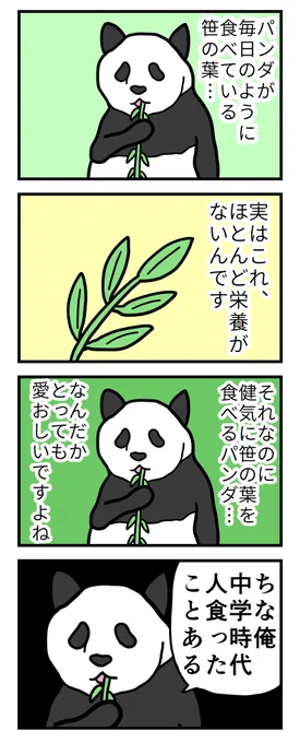 4コマ「パンダ豆知識」 