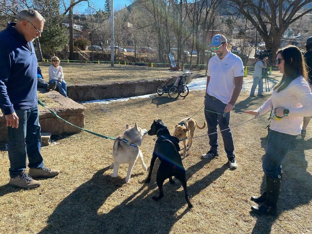 Diary of the Fruitcake Medics: All the dogs were sweet as candied cherries. 103 loaf injuries treated, 3 total casualties, 13 open cake surgeries and constant hilarity for hours.

#visitmanitousprings #fruitcaketoss #creativedistrict #dogsofmanitouspring… instagr.am/p/CZVyvcjM7l9/