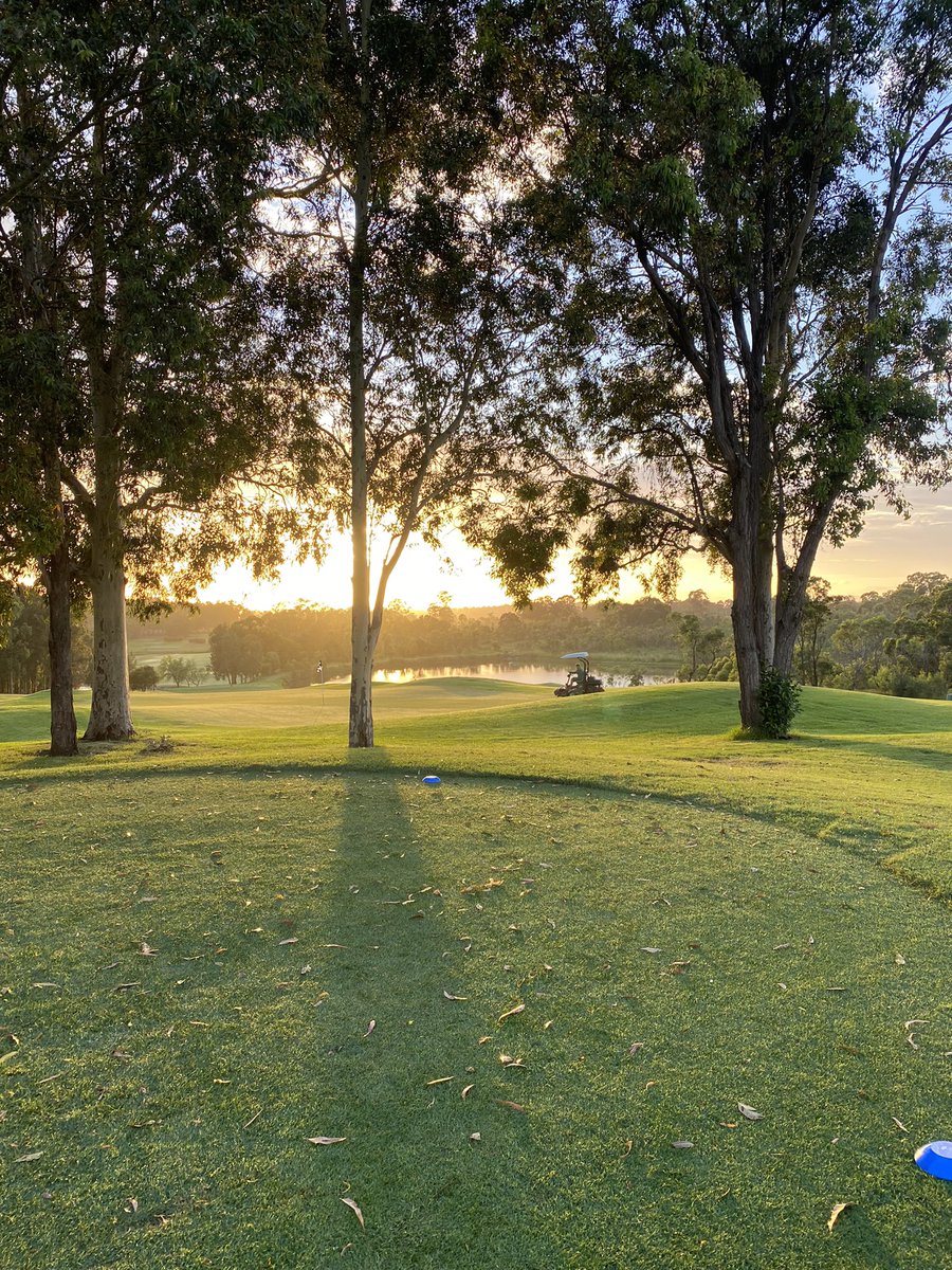 Joshua Willard tweet media