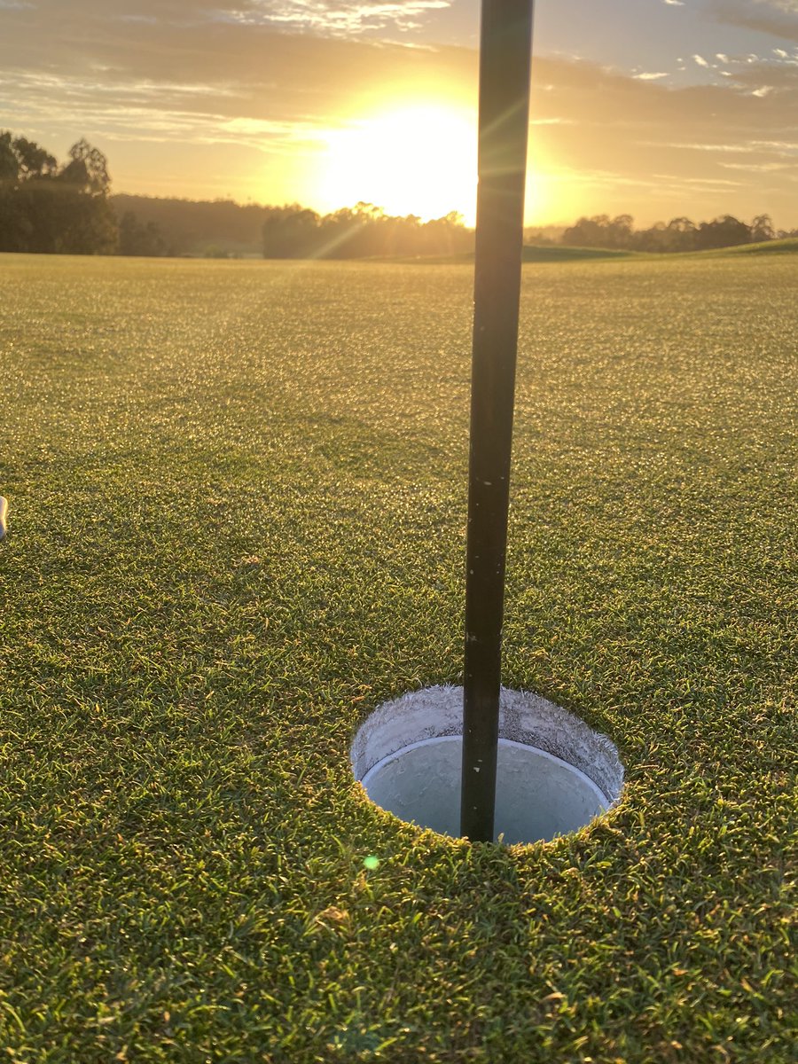 Joshua Willard tweet media