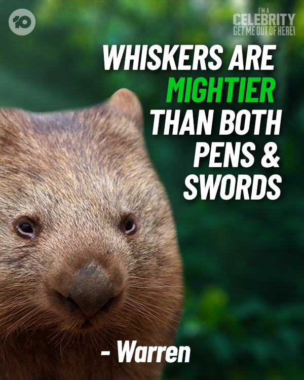 WinfiniteWombat's tweet photo. My whiskers have been breaking hearts for years. You could say they’re a blessing and a whiscurse. #ImACelebrityAU Grand Finale 7.30 tonight on 10 https://t.co/lPFymrxgR1