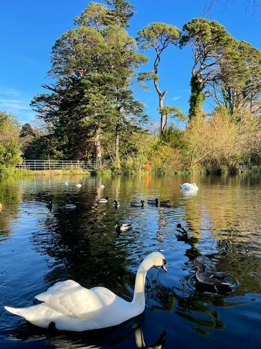 Margoti_99's tweet photo. DUBLIN PLACES https://t.co/xKFxYjrgnM