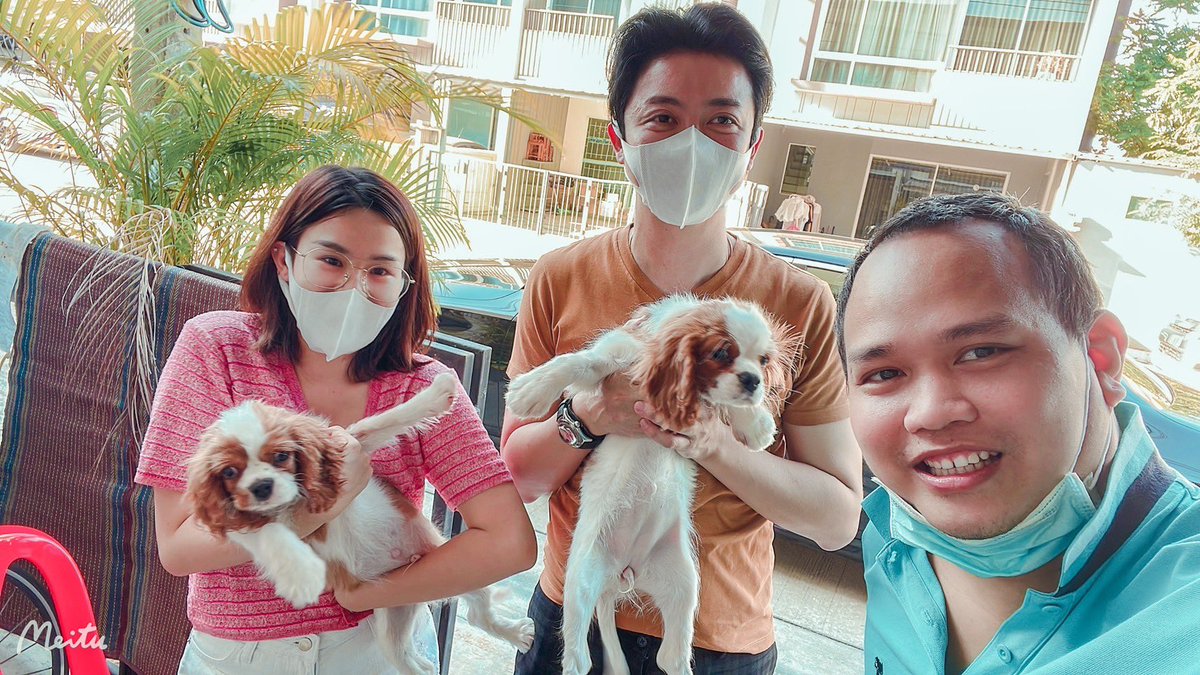 Dogfriendly15's tweet photo. ขอบคุณ พี่อาร์ต คุณแจม รับน้องกลับบ้าน.🙏🏻

ขอบคุณที่ไว้ใจให้เรานำเข้าสุนัขจากต่างประเทศจากประสบการณ์นำเข้า 20 ปี รับประกัน คุณภาพ

Dogfriendly มีบริการส่งทั่วประเทศน่ะครับ..

#คาวาเลียร์ #นำเข้าจากเกาหลี #นำเข้าคาวาเลียร์ #คาวาเลีย #คาวาเลียร์คิงชาลส์สแปเนียล #คาวาเลียร์นำเข้า https://t.co/WBSbWMYkw4