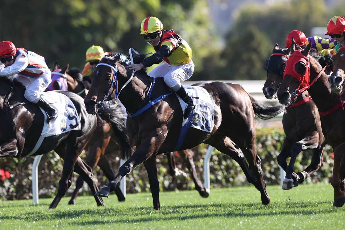 NZTM_TWEET's tweet photo. New Zealand bred #Zebrowski (Savabeel) on his way to winning the G3 Centenary Vase in Hong Kong tonight. #VisitInvestWin https://t.co/NFwinOdmEx