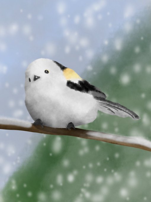 シマエナガのtwitterイラスト検索結果