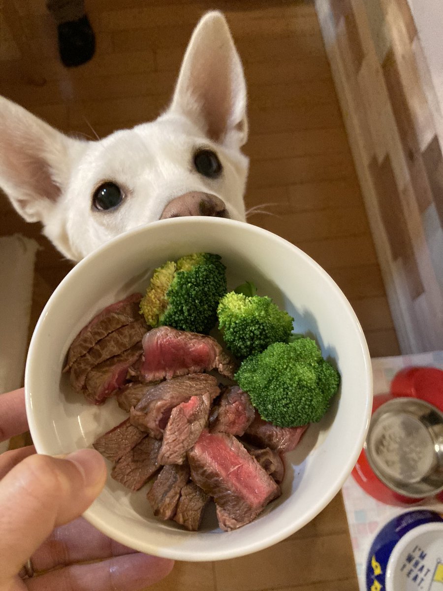 みんなの こっちゃん ステーキ 口コミ 評判 食べたいランチ 夜ごはんがきっと見つかる ナウティスイーツ