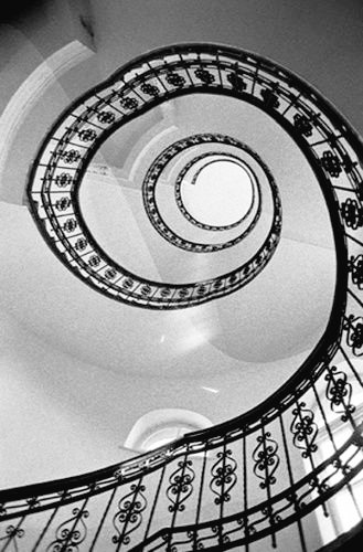 noirfly1's tweet photo. Spiral https://t.co/npWQxDtvbw