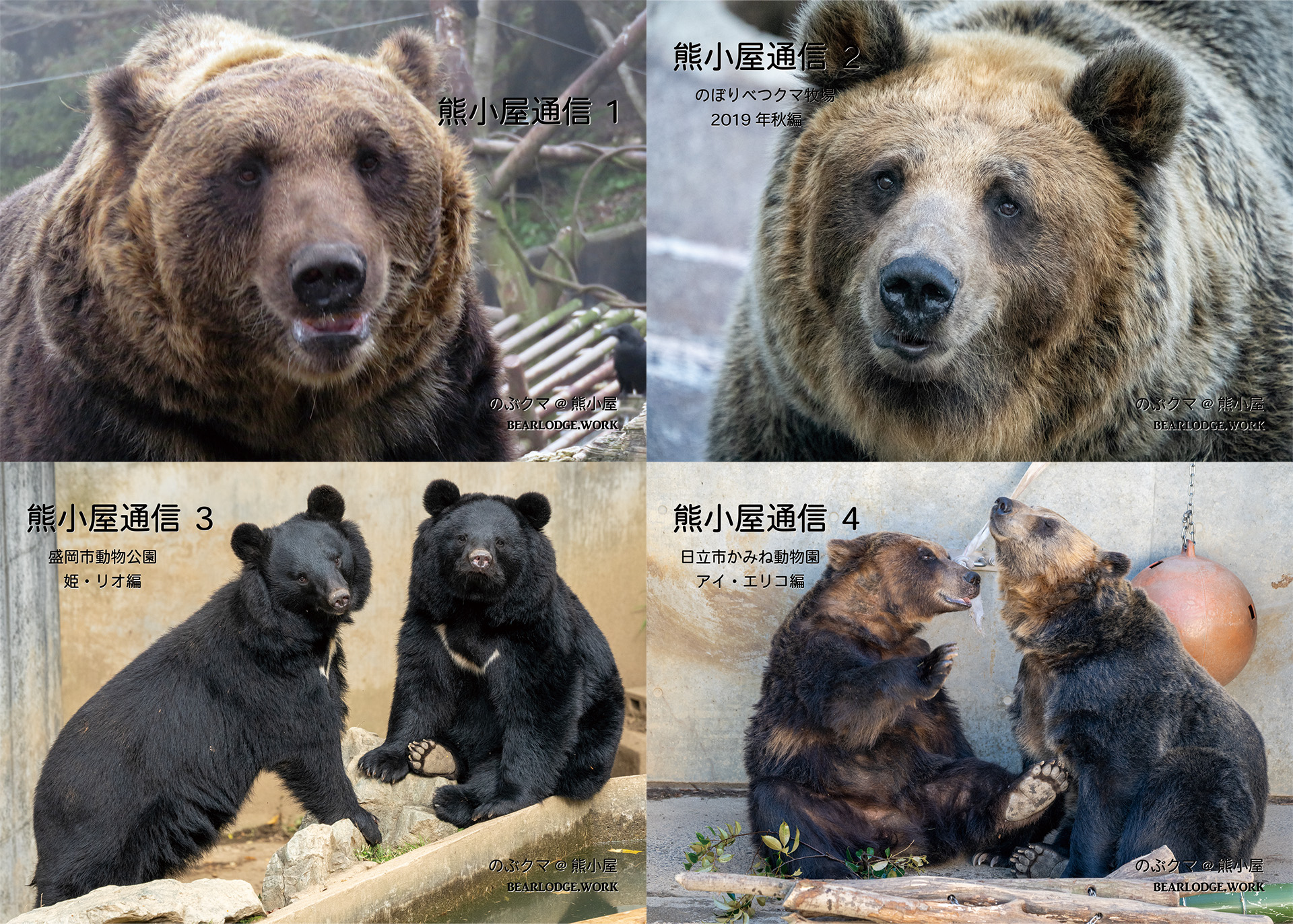 のぶクマ🐻ヒグマは淑女の嗜みでして on X: 