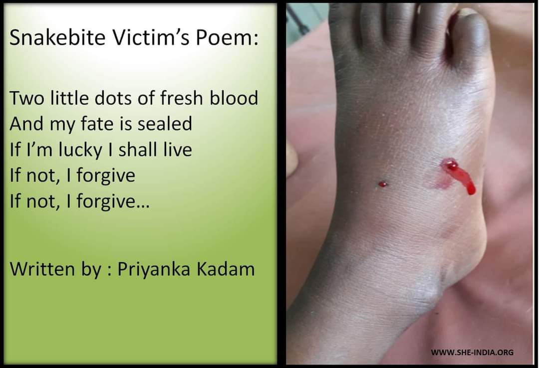 @SHE-INDIA tweet media