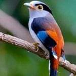 Левыкин Вячеслав (@levykinv) on Twitter photo <a href="/roads2/">Susan Nelson</a> <a href="/Maria32238606/">Jaizki56</a> <a href="/janez_zorc/">Janez Z</a> <a href="/HARROW_h/">harrow</a> <a href="/emrekaraman2018/">Emre Karaman</a> <a href="/styKonie/">Калина Мережко</a> <a href="/_raduzhnaya_/">Ксения Лановая</a> <a href="/_karmilita/">Камила Франко</a> <a href="/Nika__Lazareva/">Вероника Лазарева</a> <a href="/Elena_Orexova/">Елена Орехова</a> <a href="/VValentina_S/">Valentina</a> <a href="/lazurit_plus/">Olga</a> <a href="/_mgnovenie/">Александра Лисовец</a> <a href="/civi_mam/">Mam roj Çivi</a> <a href="/Victoria_Kowal/">Виктория Коваль</a> <a href="/_ogonek/">Альбина Краско</a> <a href="/udPfdyI47u6s9MR/">❤Kazem _KA❤</a> <a href="/ClaraKazachenko/">Клара Казаченко</a> <a href="/KarinaLanovaya/">Карина Лановая</a> <a href="/Vlada_Romanenko/">Влада Романенко</a> <a href="/komaritski/">Slinkin SV</a> <a href="/letayut/">Бадритдинова Алла</a> <a href="/lana_liss/">Лана Лисс</a> <a href="/Galina_Lewina/">Галина Левина</a> <a href="/mi_la_ya_mila/">Мила</a> <a href="/1T6azEDG8clOEGN/">Максимиллиан Кауфманн</a> <a href="/CSTiwari12/">सी एस तिवारी ( मोदी का परिवार )</a> <a href="/taosophie/">Aom Ucing</a> <a href="/marina19619/">Marina</a> <a href="/Malkov15/">Александр С.</a> <a href="/AslamCh61/">Aslam Chaudhary</a> @PearlsRosesNL @bcavalli3333 <a href="/shyamsmadan/">S S Madan</a> <a href="/kimukimukimu81/">みかみ🐩</a> <a href="/roads2/">Susan Nelson</a> <a href="/Maria32238606/">Jaizki56</a> <a href="/janez_zorc/">Janez Z</a> <a href="/HARROW_h/">harrow</a> <a href="/emrekaraman2018/">Emre Karaman</a> <a href="/styKonie/">Калина Мережко</a> <a href="/_raduzhnaya_/">Ксения Лановая</a> <a href="/_karmilita/">Камила Франко</a> <a href="/Nika__Lazareva/">Вероника Лазарева</a> <a href="/Elena_Orexova/">Елена Орехова</a> <a href="/VValentina_S/">Valentina</a> <a href="/lazurit_plus/">Olga</a> <a href="/_mgnovenie/">Александра Лисовец</a> <a href="/civi_mam/">Mam roj Çivi</a> <a href="/Victoria_Kowal/">Виктория Коваль</a> <a href="/_ogonek/">Альбина Краско</a> <a href="/udPfdyI47u6s9MR/">❤Kazem _KA❤</a> <a href="/ClaraKazachenko/">Клара Казаченко</a> <a href="/KarinaLanovaya/">Карина Лановая</a> <a href="/Vlada_Romanenko/">Влада Романенко</a> <a href="/komaritski/">Slinkin SV</a> <a href="/letayut/">Бадритдинова Алла</a> <a href="/lana_liss/">Лана Лисс</a> <a href="/Galina_Lewina/">Галина Левина</a> <a href="/mi_la_ya_mila/">Мила</a> <a href="/1T6azEDG8clOEGN/">Максимиллиан Кауфманн</a> <a href="/CSTiwari12/">सी एस तिवारी ( मोदी का परिवार )</a> <a href="/taosophie/">Aom Ucing</a> <a href="/marina19619/">Marina</a> <a href="/Malkov15/">Александр С.</a> <a href="/AslamCh61/">Aslam Chaudhary</a> @PearlsRosesNL @bcavalli3333 <a href="/shyamsmadan/">S S Madan</a> <a href="/kimukimukimu81/">みかみ🐩</a>