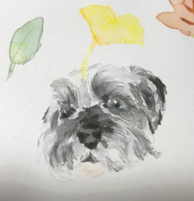 わんちゃん 高画質 のtwitterイラスト検索結果