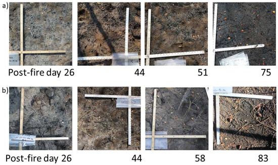 Fire_MDPI's tweet photo. Evaluating the Persistence of Post-Wildfire Ash: A Multi-Platform Spatiotemporal Analysis
by Sarah A. Lewis https://t.co/IhSLF19ImC
https://t.co/O6AK6cezl8
#post_fire
#remote_sensing
#wildfire_ash
#Sentinel2
#hydrologic_response https://t.co/23456Ghdv3