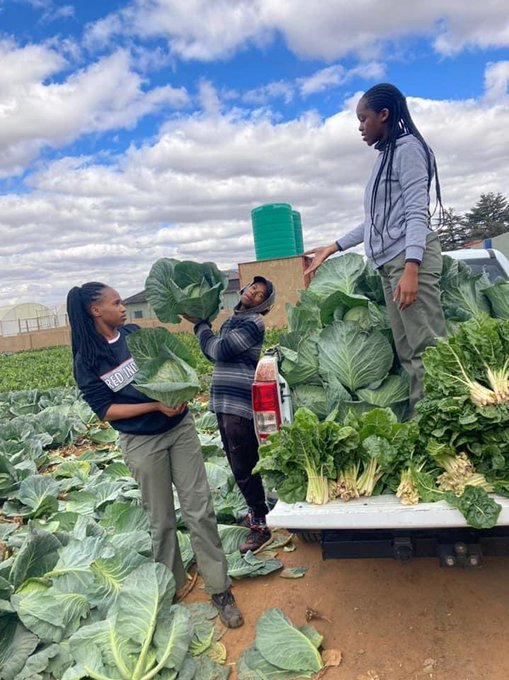 MugishaElie_'s tweet photo. There is no life without #agriculture! 

Do you agree? https://t.co/F601L502Z1