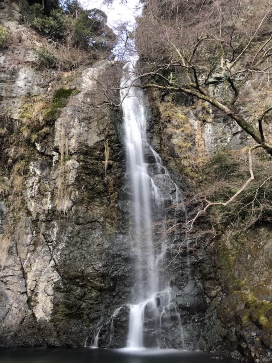 ビール浴びたい🍺