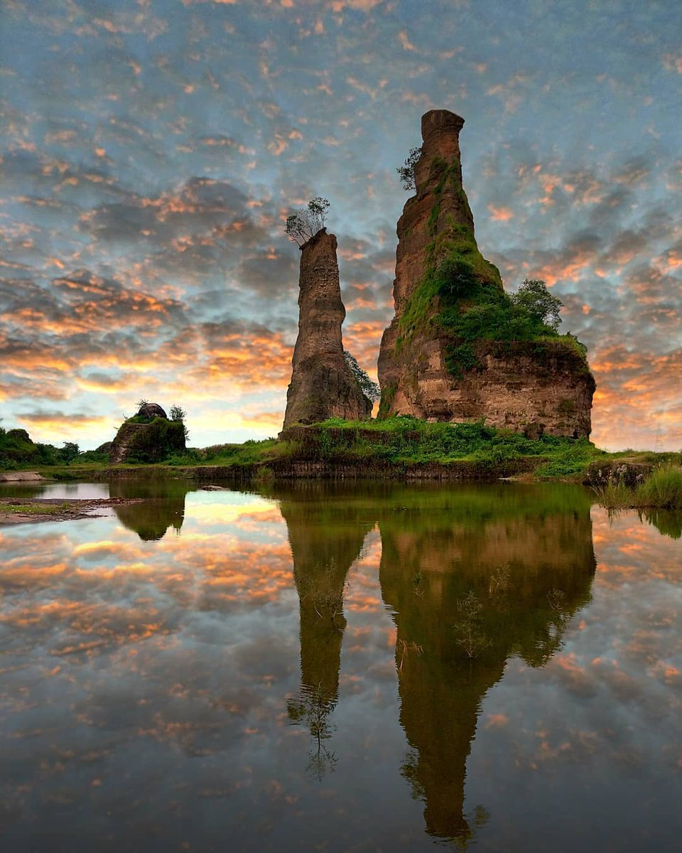 adek🦋 tweet media