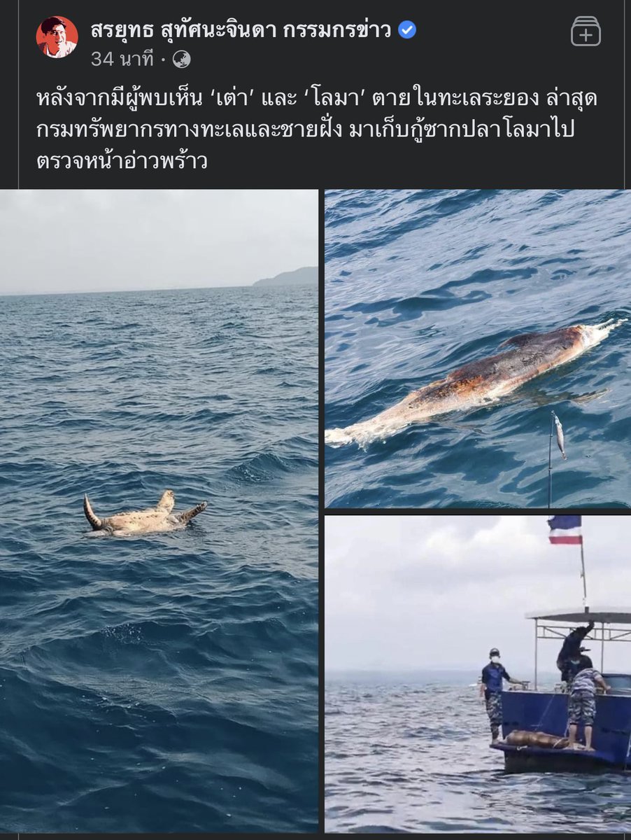 natnkas89's tweet photo. พอแล้วได้มั้ยอะ เรื่อง ไพรวัลย์กับ #น้าเน็ก มาสนใจเรื่องนี้กันไหมอะ #น้ํามันรั่วมาบตาพุด #น้ํามันรั่ว ไม่มีใครพูดถึงเลย https://t.co/R2GbhLg9FJ
