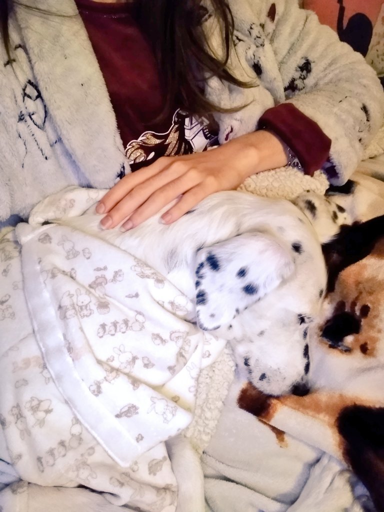 Our quiet Sunday moment, after breakfast cuddles with mom🥰
(excuse us because both of us are still wearing our PJs 🤣)
#dogsoftwitter #SundayMorning #quietmoment #relaxing