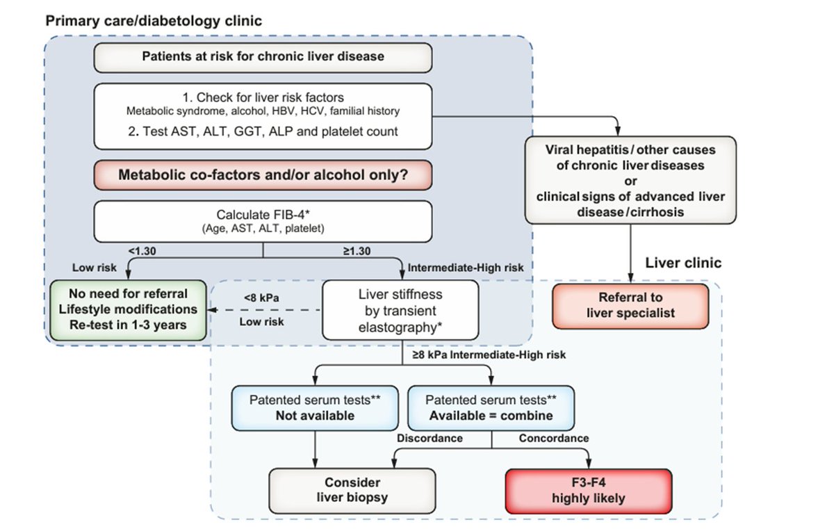 DiegoBellido2's tweet image. Guías de práctica clínica de la EASL sobre pruebas no invasivas para la evaluación de la gravedad y el pronóstico de la enfermedad hepática: actualización de 2021. journal-of-hepatology.eu/article/S0168-…