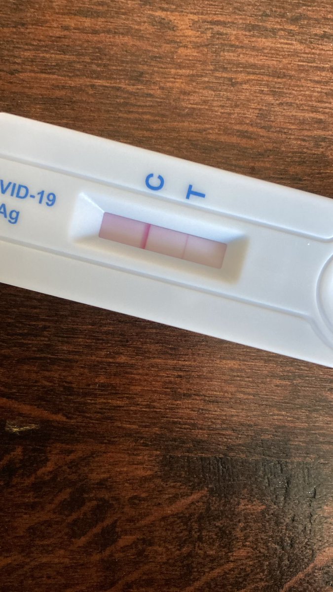 Joost Schelling tweet media