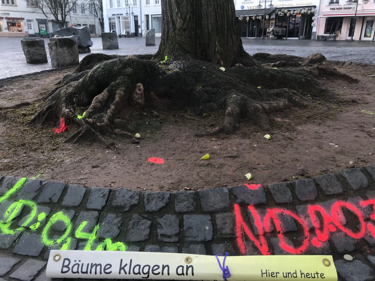 Mensch trifft Baum.
Killerphrase
Ich schütze die Natur, aber ....

Was wir von Bäumen lernen können

#RäumefürBäume

#1fachbewegen #saarbrücken #SanktJohannerMarkt <a href="/oneworld/">OGASAWARA, Kazutomo</a>