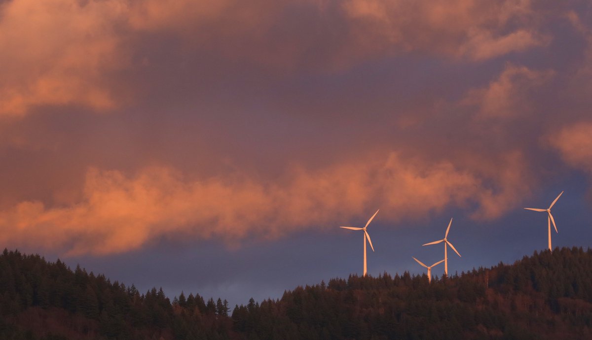 HSderSchreiber's tweet photo. #Windräder auf dem #Rosskopf im Abendlicht, fotografiert von Elisabeth Faber, Freiburg. https://t.co/IRqI6tsc4z