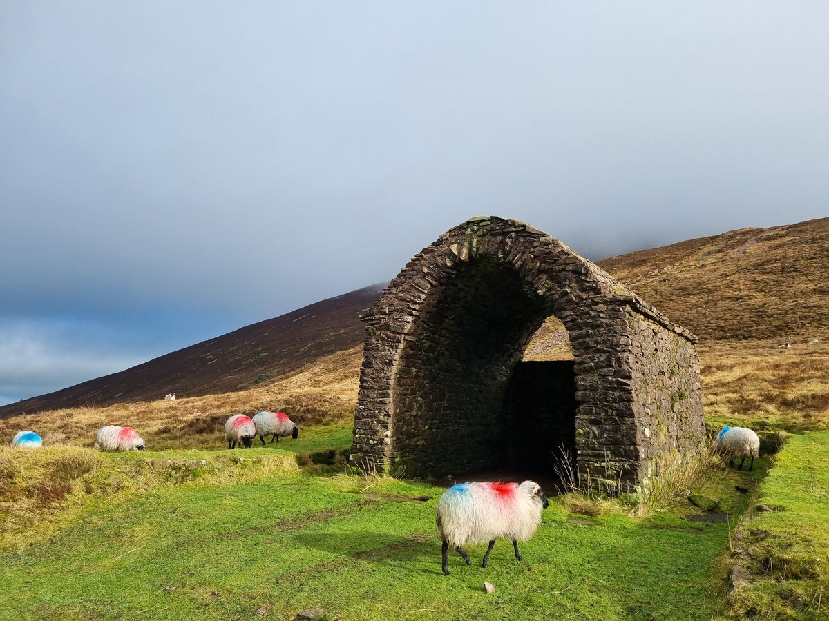 Hikelife #Tipperary 💗⛅️🇮🇪