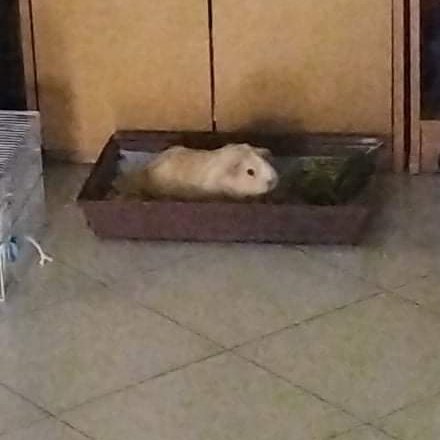 ที่แค่นั้นไม่พอสำหรับเทออีกต่อไป