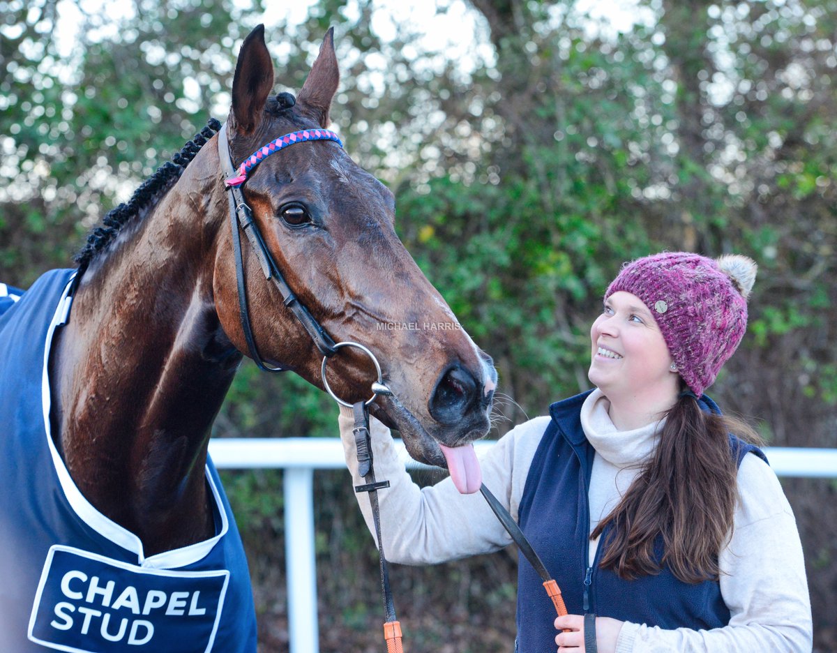 mjyharris's tweet photo. I tried to capture a lovely moment between Laura and her gorgeous horse after the Cleeve Hurdle and Paisley sticks his tongue out.... https://t.co/5NjWhGCeH3