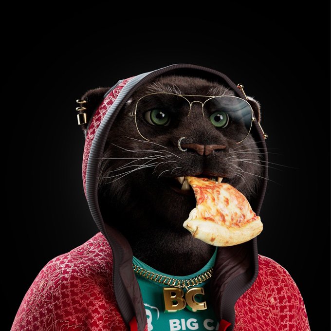 RayamDissomm's tweet photo. @bigcats_nft Super NFT!!! To the moon!!! https://t.co/vY6LbSUPY1