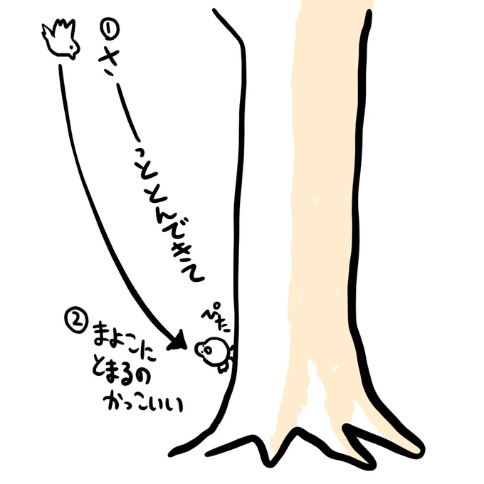 ふだん自然の観察を怠った生活してると飛んできた鳥の木のとまりかたひとつ見ても「かっこいい」って思います。(今、公園ぶらーっとしてきた) 