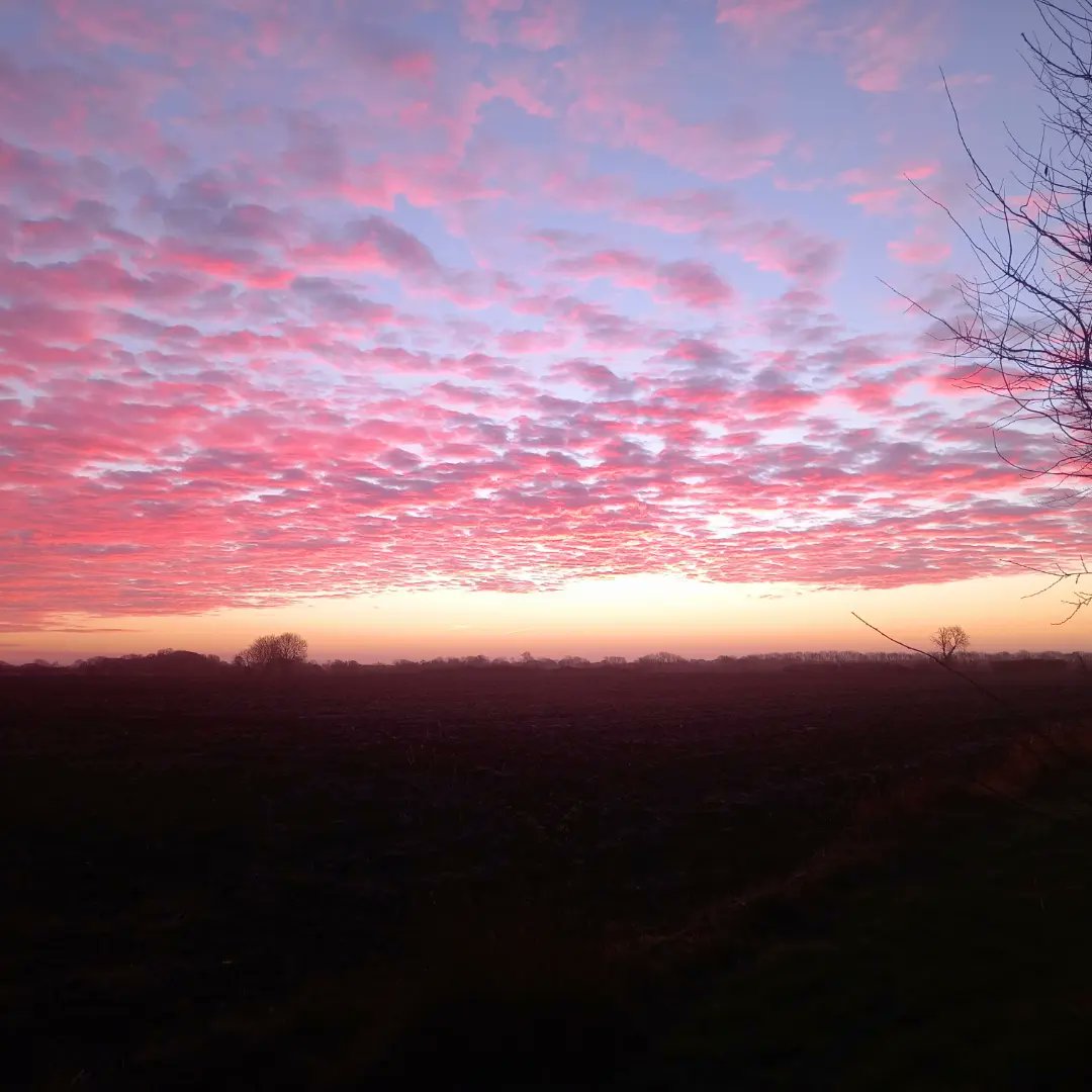 Fabulous  sky this morning  #norfolk #sunrise #brecklands <a href="/ChrisPage90/">Chris Page - Weatherman</a> <a href="/WeatherAisling/">Aisling Creevey</a> #winter #January