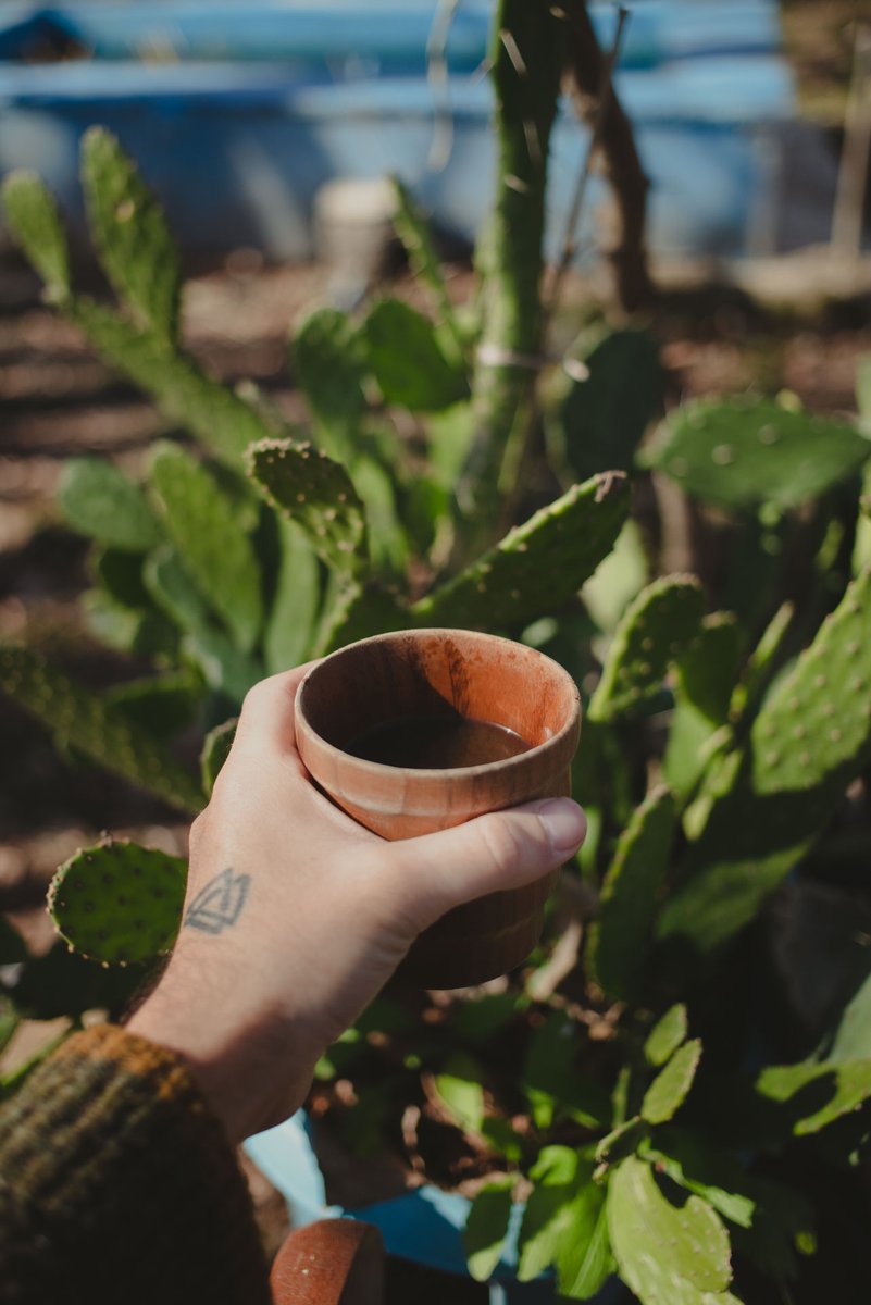 0xNeema's tweet image. Gmᴳᴹ  #NFT world 🌍🪙🎨
Just a reminder: You are full of life 😍🫂☕️🌿
Let&apos;s have #coffee ☕️ together in #MetaCafe
#NFTCommunity #NFTartist