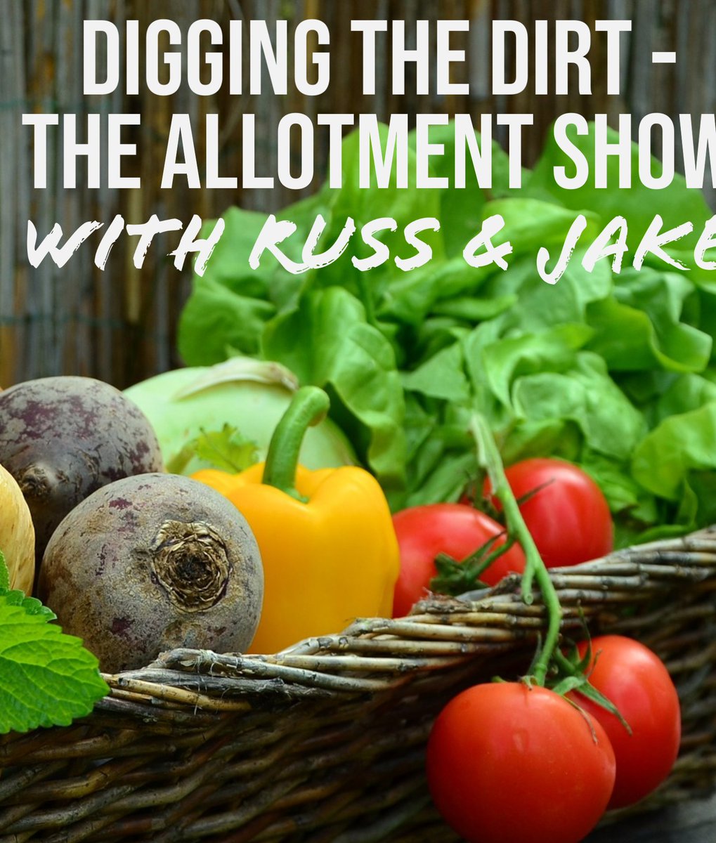 If you missed it on the radio. Join Russ talking about what you’re planning to grow this year, cleaning gardening tools and what you can be doing in February. Plus a look at gardening shows this year tinyurl.com/iTunesDiggingt… #Allotment #Garden