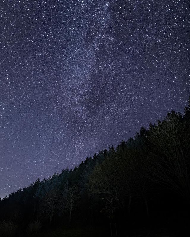 ForestryEngland's tweet photo. #ForestFeature of the week 📍 Dalby Forest, Yorkshire 

#DalbyForest has star potential! Experience the magic of seeing the Milky Way with the naked eye at this Dark Sky Discovery Site, known as one of the best places to explore the night sky 🌟

📸: @db_landscapephotography https://t.co/6voZi49vsp