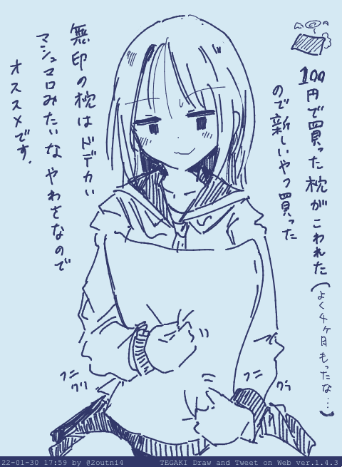 まくら買ったよ近況報告 #tegaki_dt 