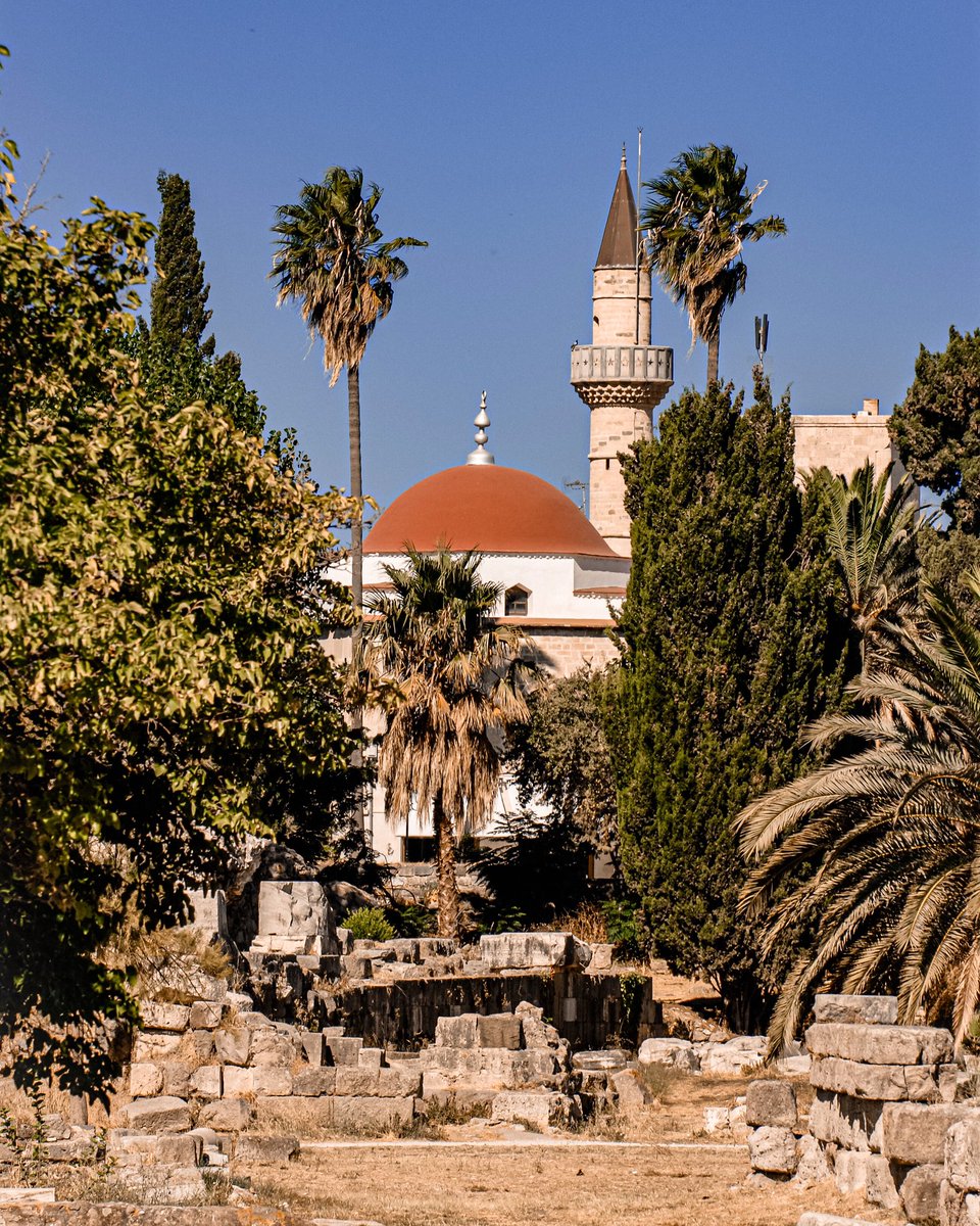 KosIsland's tweet photo. Discover a mosaic of cultures in Kos Island, where the old blends with the new! 🌴🕌
#visitkosgreece #history #culturalheritage #kosisland #kosgreece #kosislandgreece #aegeanislands #greekislands #visitkos #visitgreece #visitgreecegr https://t.co/4zCpTqUcwm