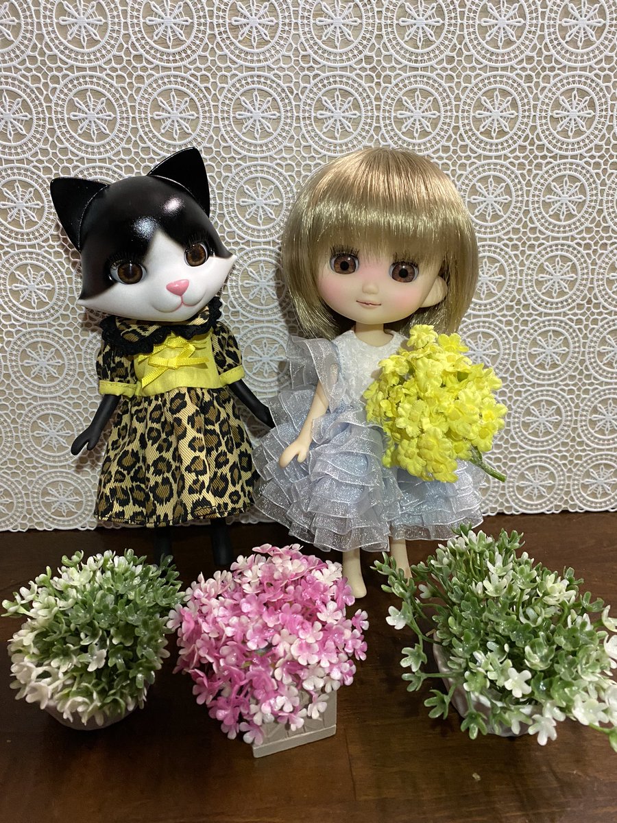 最安値 「おでこちゃんとニッキ おでこちゃんとニッキ バカンス 駿河屋 - _