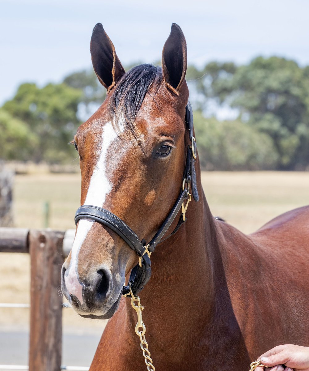 Glen Craven tweet media