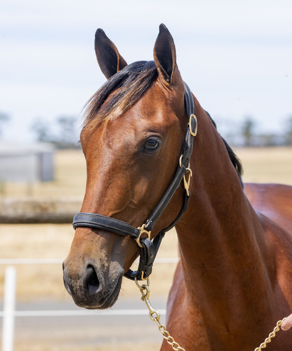 Glen Craven tweet media