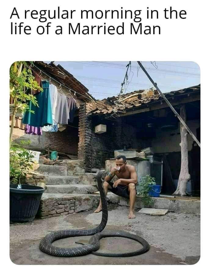 abhijitvhanman2's tweet photo. #MarriageStrike
#Mgtow https://t.co/bXFB20ZLyC