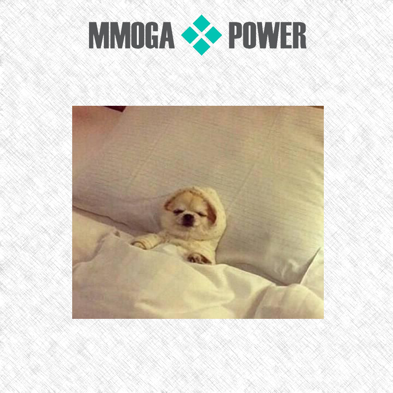 Kann ich nicht später aufstehen? Heute ist Sonntag! 
#MMOGAPOWER #freitag #wochenende #schöneswochenende #zocken #gaming #gamingzubehör #gamersleben #schläfrig #schläfrigeswochenende #mussfrühaufstehen
