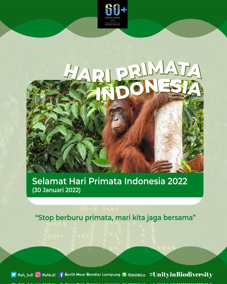 EH_Bdl's tweet photo. Tabik Pun! Hai SobatEH!

Tanggal 30 Januari, diperingati sebagai Hari Primata Indonesia. Hal ini didasari atas keprihatinan terhadap perdagangan ilegal primata Indonesia dan ini telah menjadi agenda tahunan Kementrian Lingkungan Hidup dan Kehutanan. (1/4) https://t.co/IypnlaND2L