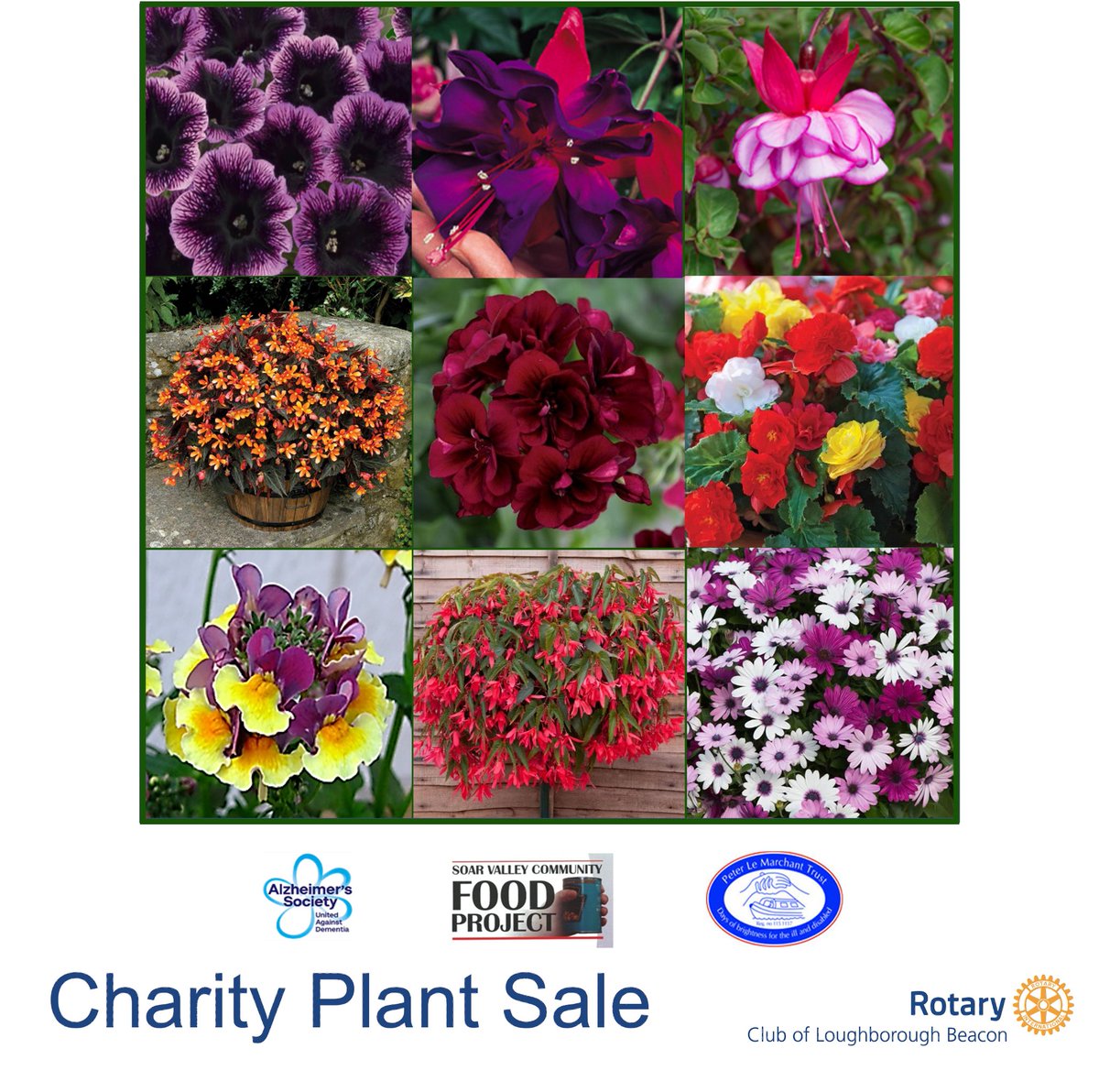 BeaconRotary's tweet photo. The Rotary charity Plant sale is back. 
Beautiful, locally grown plants and patio and hanging basket selections- DELIVERED TO YOUR DOOR!.
With all profits going  to local charities.
Go to https://t.co/GMRRqllbl9 https://t.co/VS5iYCDq9G