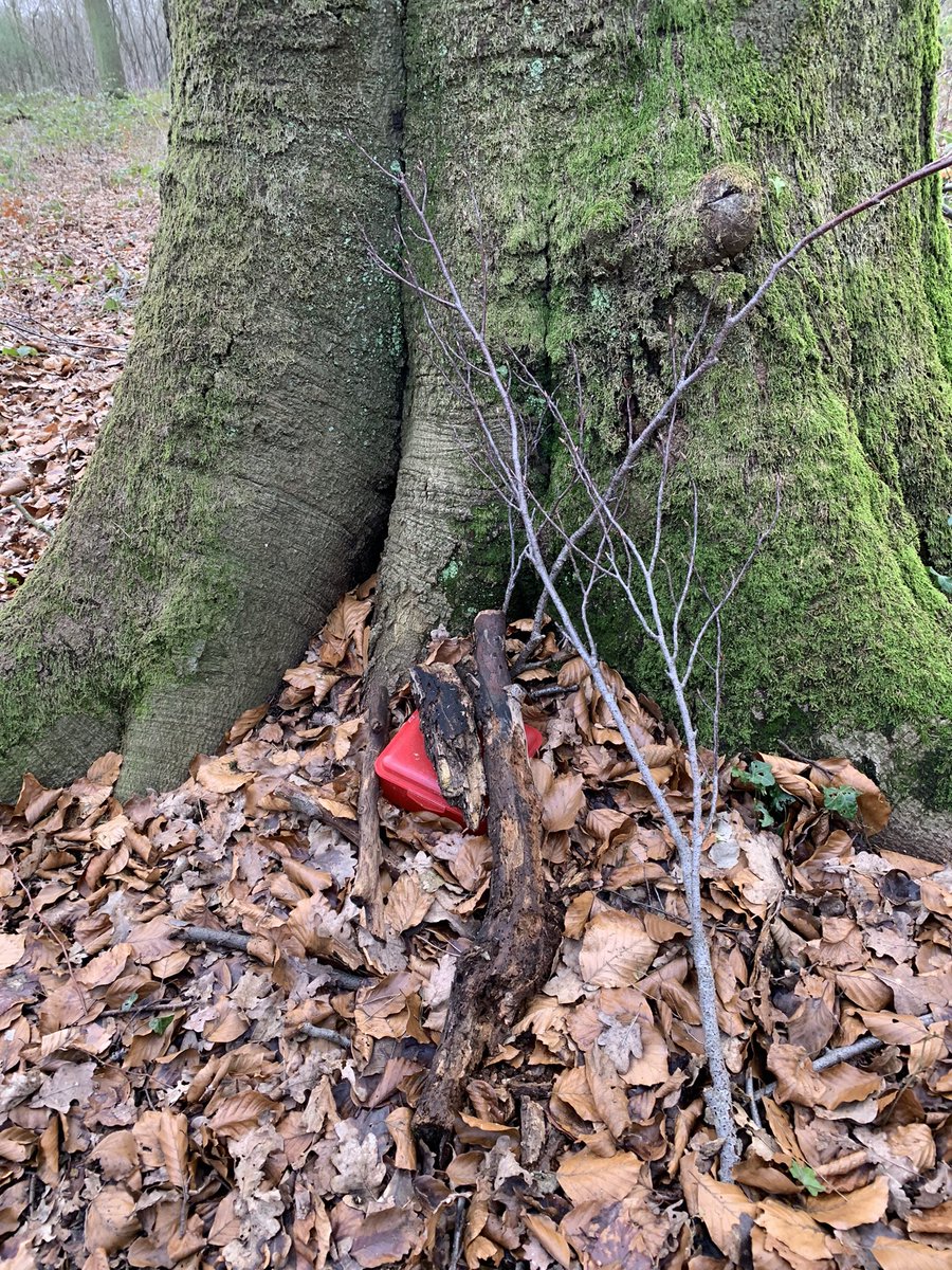 Mbone_204's tweet photo. Heute das Wetter genutzt, um mal wieder ein paar Dose zu suchen. Waren abwechslungsreiche Dinger dabei. #cachefrequenz #gogeocaching https://t.co/QVtNSBK5xo