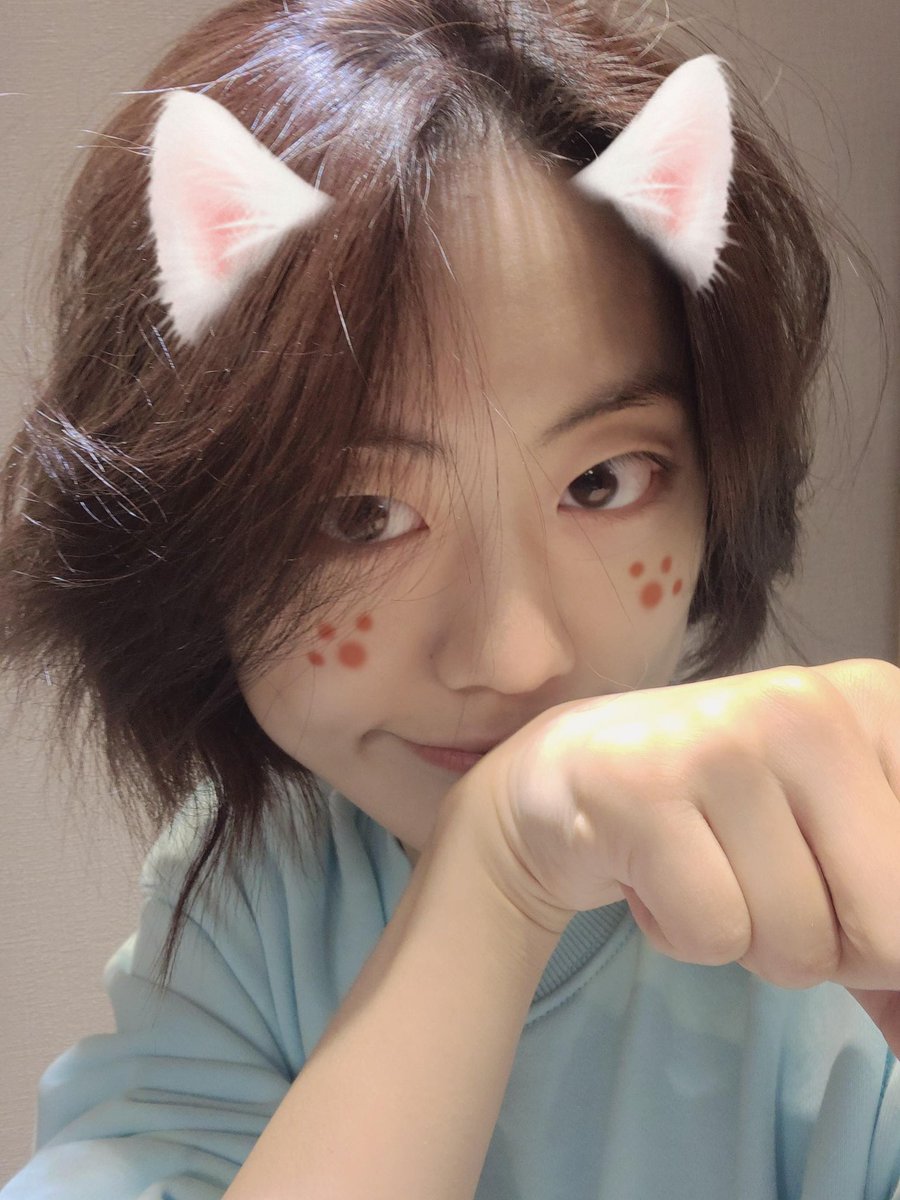 lua_unvrse's tweet image. [🌈✨] 01.30.2022 FNS Update

happy new year – your leader cat