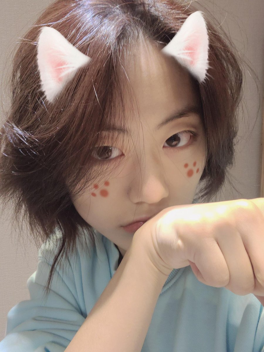 lua_unvrse's tweet image. [🌈✨] 01.30.2022 FNS Update

happy new year – your leader cat