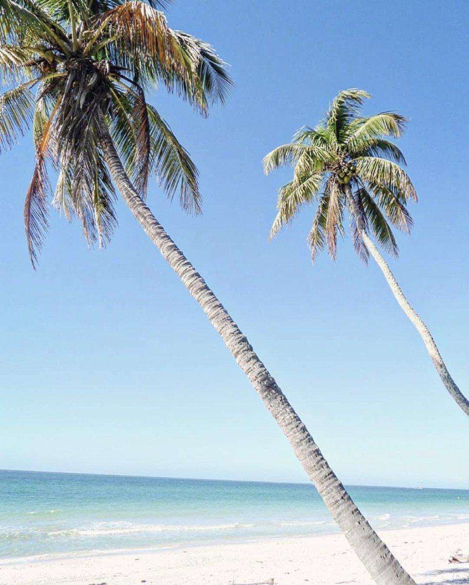 LemonTreeInn's tweet image. Step into paradise with us. 📸: IG @blueoceanflorida #ParadiseCoast #LoveFL