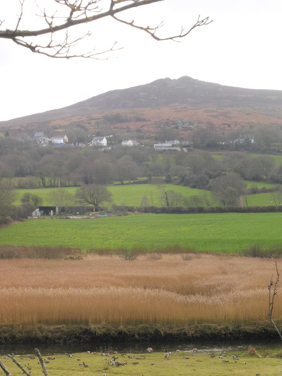 Lovely walk along the Poachers Path from the Iron Bridge in #NewportPembs today to #LlwyngwairManor - a quick round of mini golf, and a very nice pint before walking back was a bonus too. Thanks @llwyngwairmanor