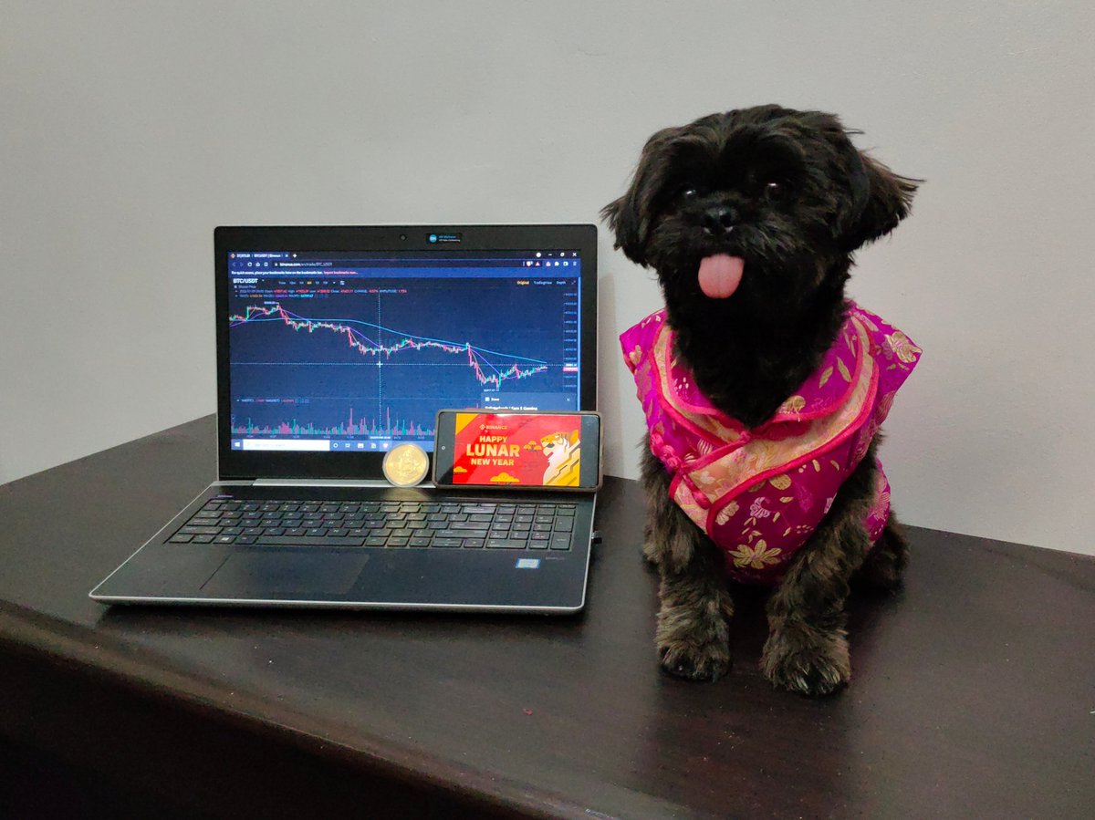 My #BinanceDog is ready to celebrate the Lunar New Year with his cheongsam inspired outfit while giving me luck on my #Binance trades 🧧 <a href="/binance/">Binance</a>
