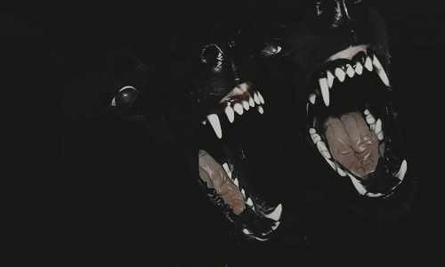 𝐇𝐚𝐫𝐫𝐲 𝐏𝐨𝐭𝐭𝐞𝐫 𝐀𝐔.